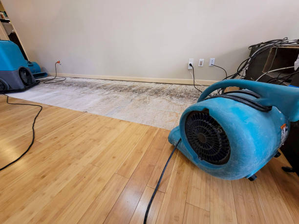Professional Water Damage Repair technician working in Kingston, NH